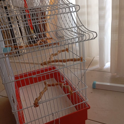 Birdcage with accessories