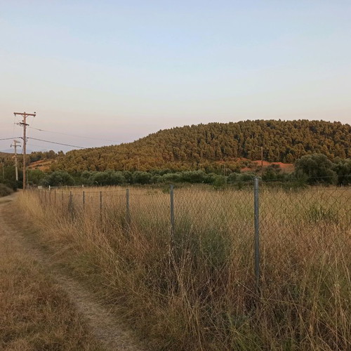 Land 800 m² in Paliouri Halkidiki with caravan placement option