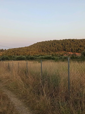 Οικόπεδο 800 τ.μ. στο Παλιούρι Χαλκιδικής με δυνατότητα τροχόσπιτου