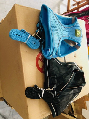 Dog Harness Net with Guide L for 5-7.5 kg, Blue or Black, New