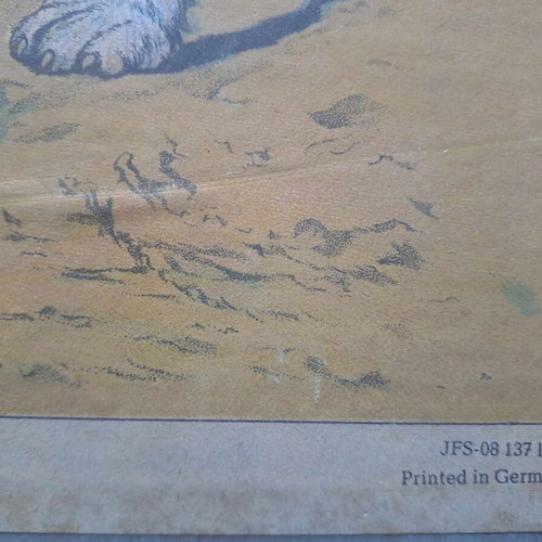 Vintage school poster dog hardcover used 40x35