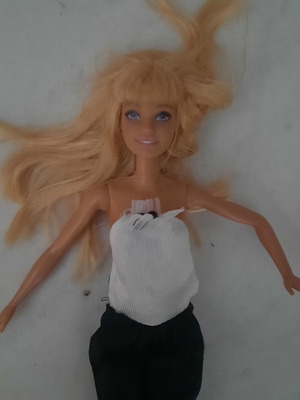 Barbie doll