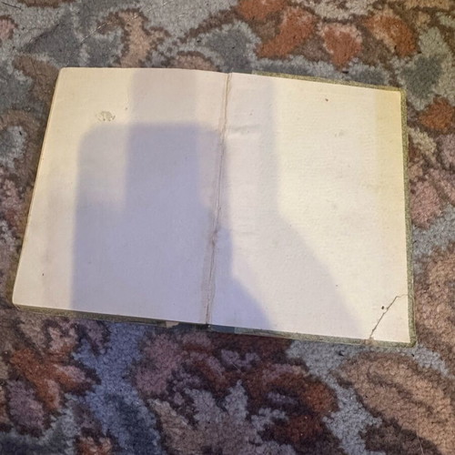 The Lady with the White Horse used book from 1923