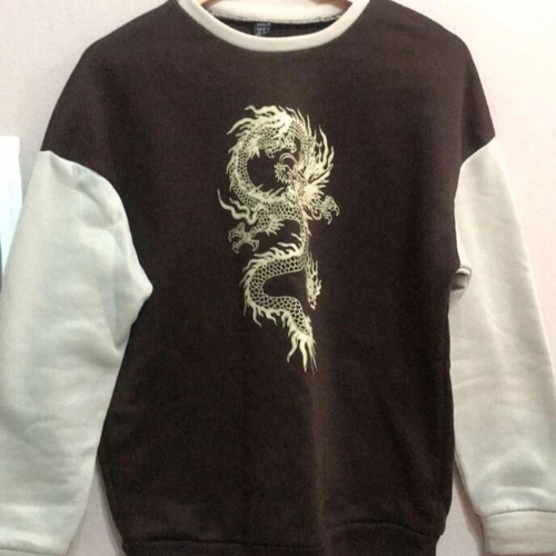 Shein XS sweatshirt with dragon print, like new, brown