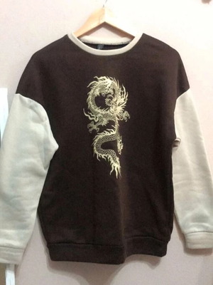 Shein XS sweatshirt with dragon print, like new, brown