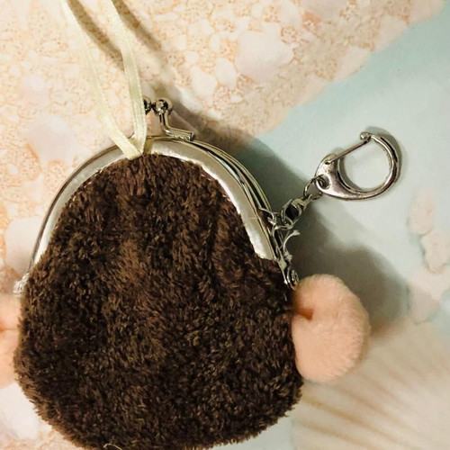 Children's keychain wallet used