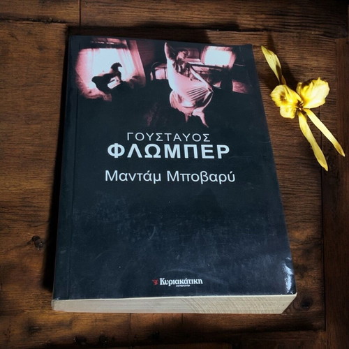 Madame Bovary used literature book