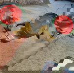  κιαλια diamand  king