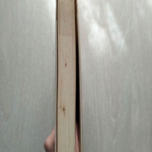 Against the Wind used book by Nordtrundt Bogge-Erli
