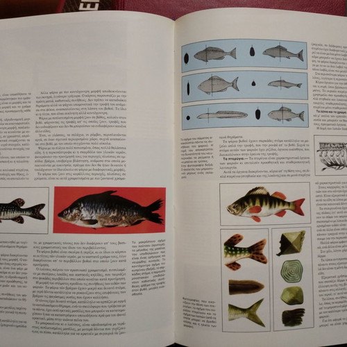 Encyclopedia To Psarema 2 volumes like new in hardcover case