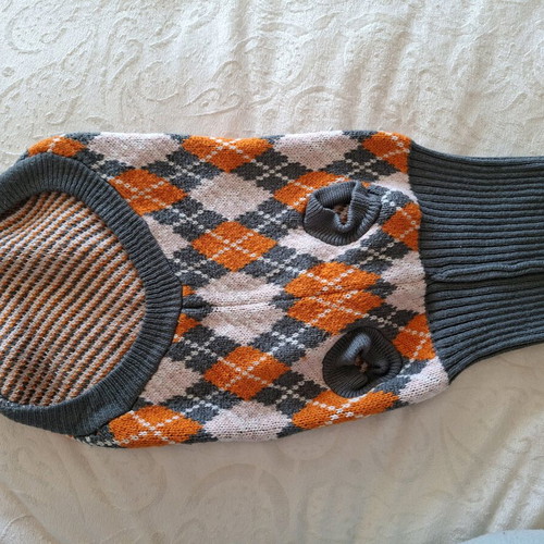 Dog pullover used, warm and soft