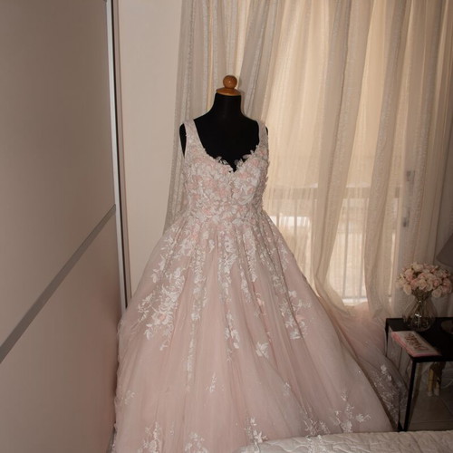 Romantic princess line wedding dress with 3D lace blush ivory like new