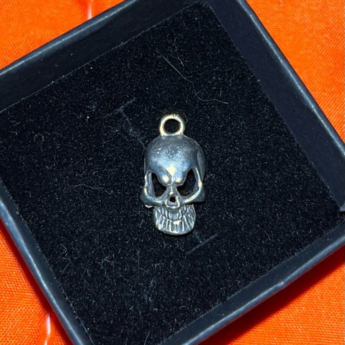 Stainless Steel Skull Pendant like new, gray and silver