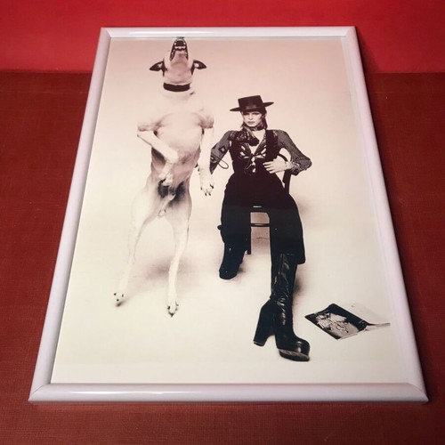 David Bowie framed photo with glass A4 size like new