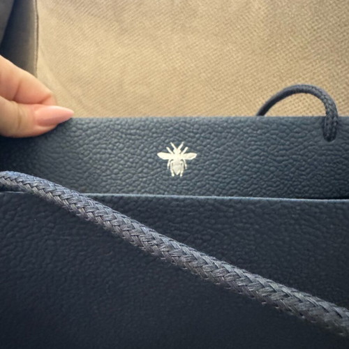 Dior bag new