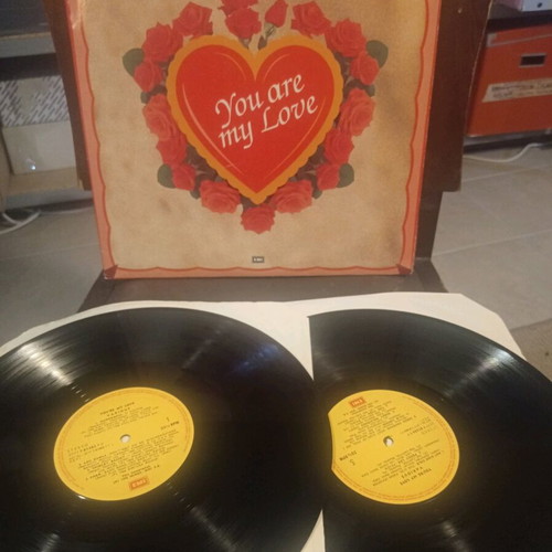 You Are My Love vinyl used, 2 LP, rock, pop, ballad