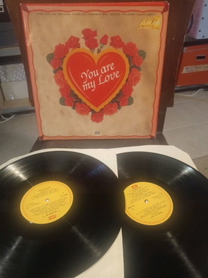 You Are My Love vinyl used, 2 LP, rock, pop, ballad