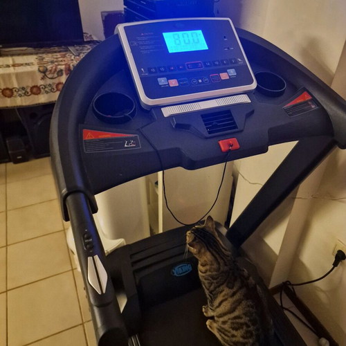Viking D-10 treadmill like new