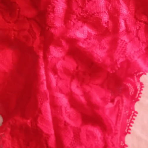 Brazilian lace red panties
