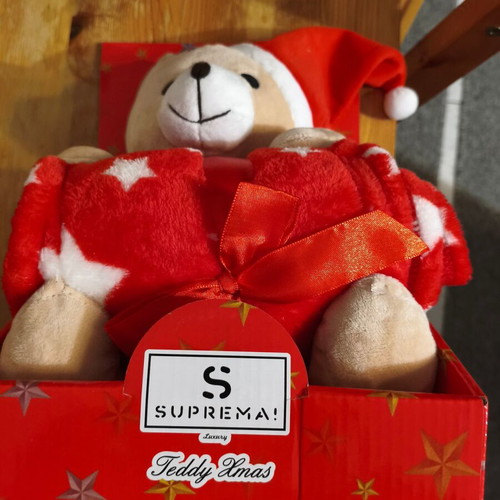 Christmas teddy bear new with blanket