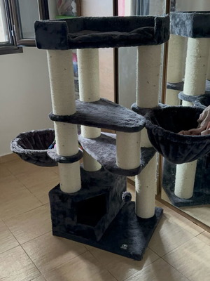 Cat house new