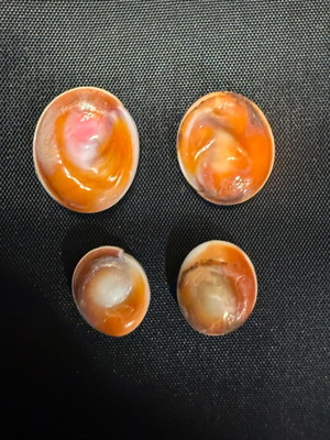 Sea Eye like new, natural material from Greek seabeds