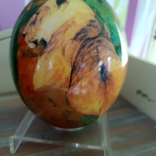 Ostrich Egg from South Africa like new with gold leaf and detailed colors
