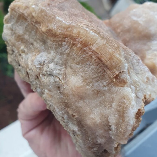 Calcite root beer from Megara new mineral specimen