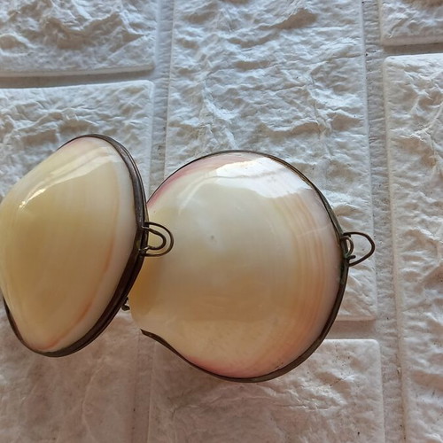 Natural Shell Set with Brass Frame, New, Pack of Two