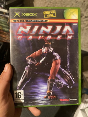 Ninja Gaiden Xbox game