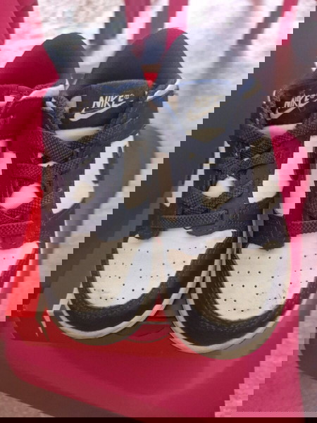 Nike dunk παιδικα sneakers