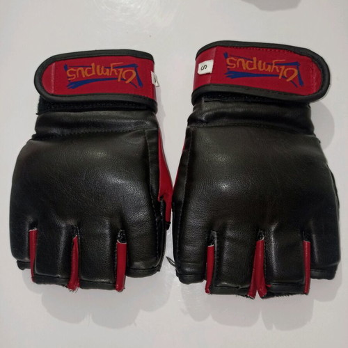 Boxing gloves in good condition