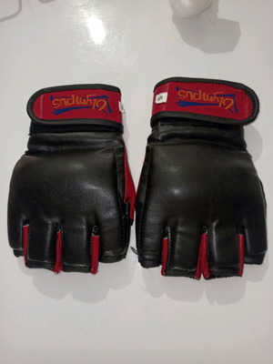 Boxing gloves in good condition