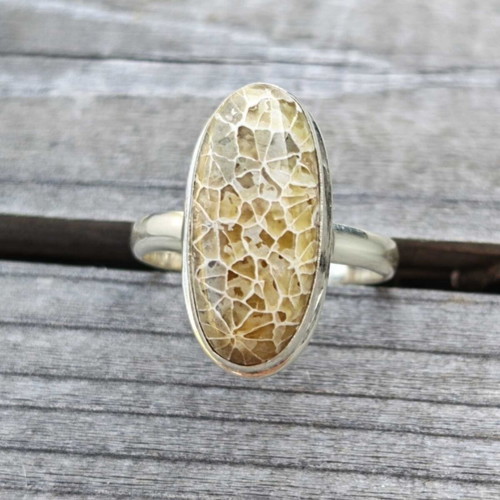 Silver ring with fossilized dinosaur bone new