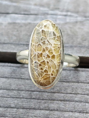 Silver ring with fossilized dinosaur bone new