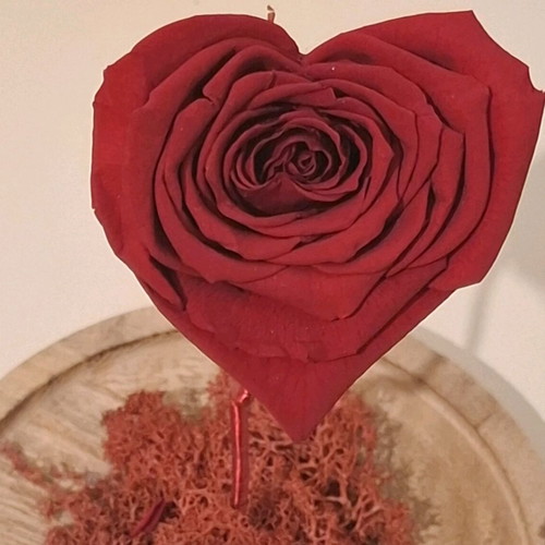 Decorative rose like new, height 19 cm
