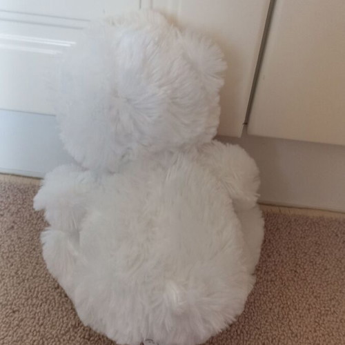 Plush teddy bear like new with message I love you