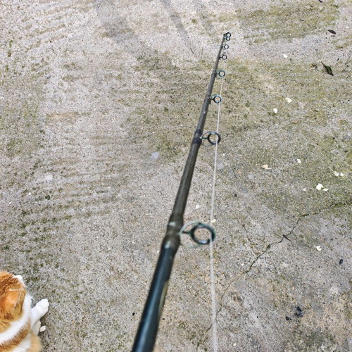 beat lures for trout which lure for stream trout fishing? : r/FishingForBeginners