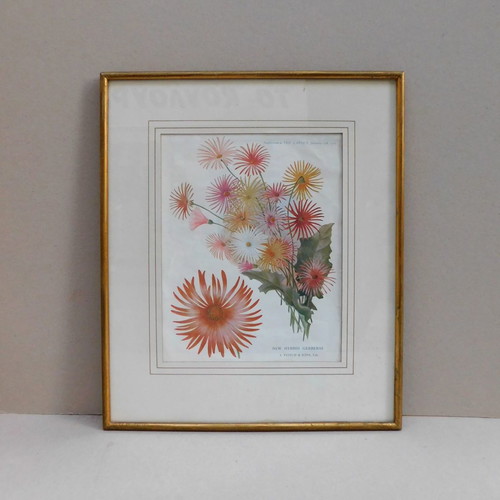Framed print with protective glass 37 x 44 cm