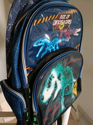 School backpack with dinosaur used