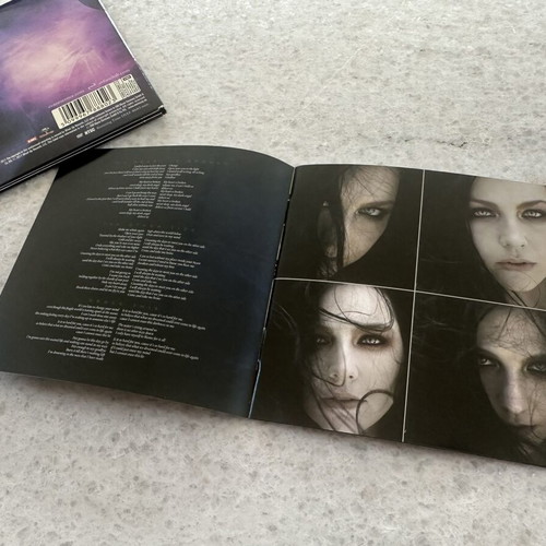 Evanescence 2011 CD and DVD deluxe version like new, rock