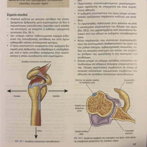 Basic Orthopedics book new, Greek