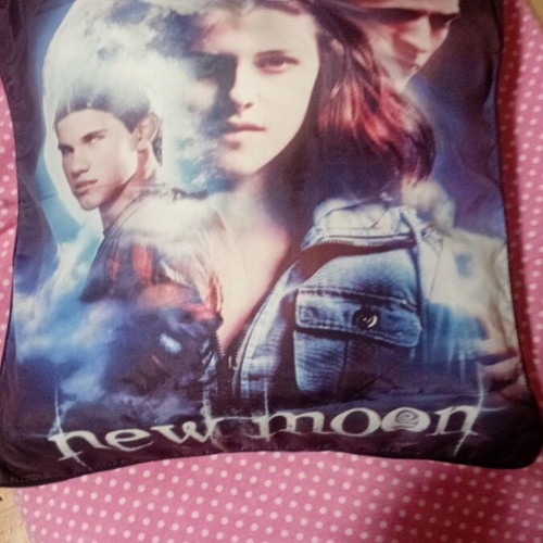 New Moon pillowcase and pillow like new
