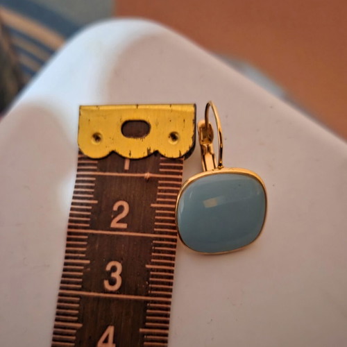 Steel earrings