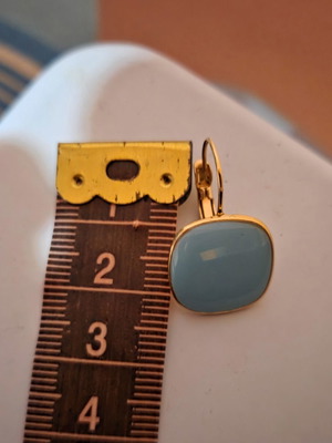 Steel earrings