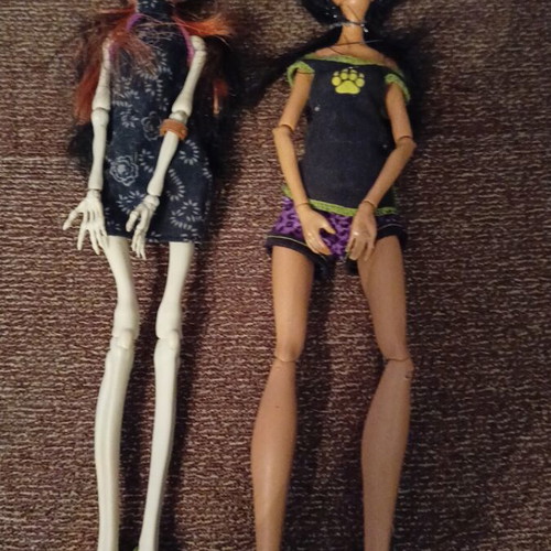 Monster High Skelita and Cloe dolls like new