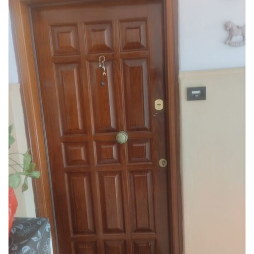 Door with frame used, size 208 x 98 cm