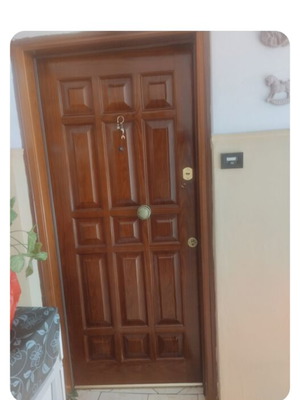 Door with frame used, size 208 x 98 cm