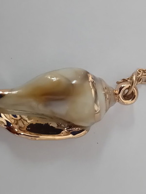 Shell necklace gold color new