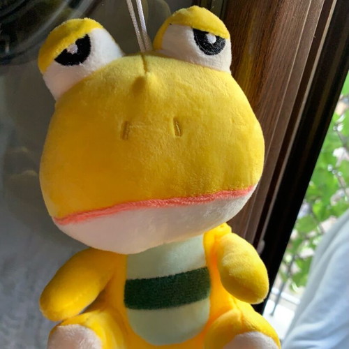 Plush frog used